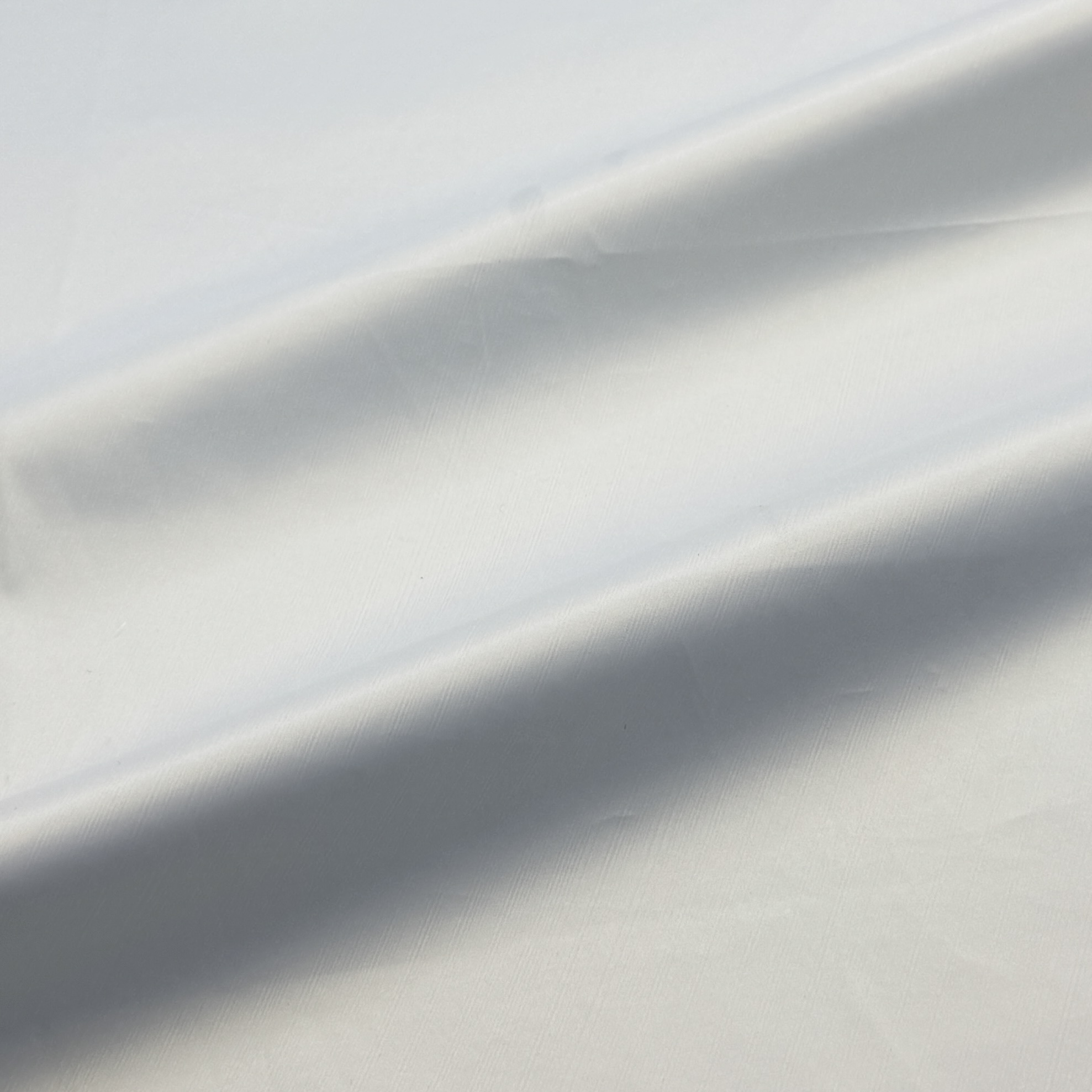 Polyester 